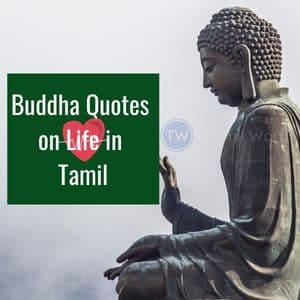 Buddha Quotes on Life in Tamil