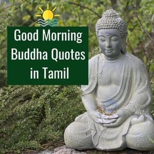 Good Morning Buddha Quotes in Tamil