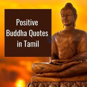 Positive Buddha Quotes in Tamil