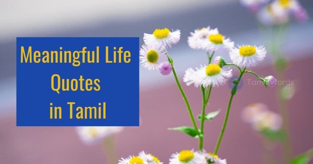 meaningful life quotes in tamil