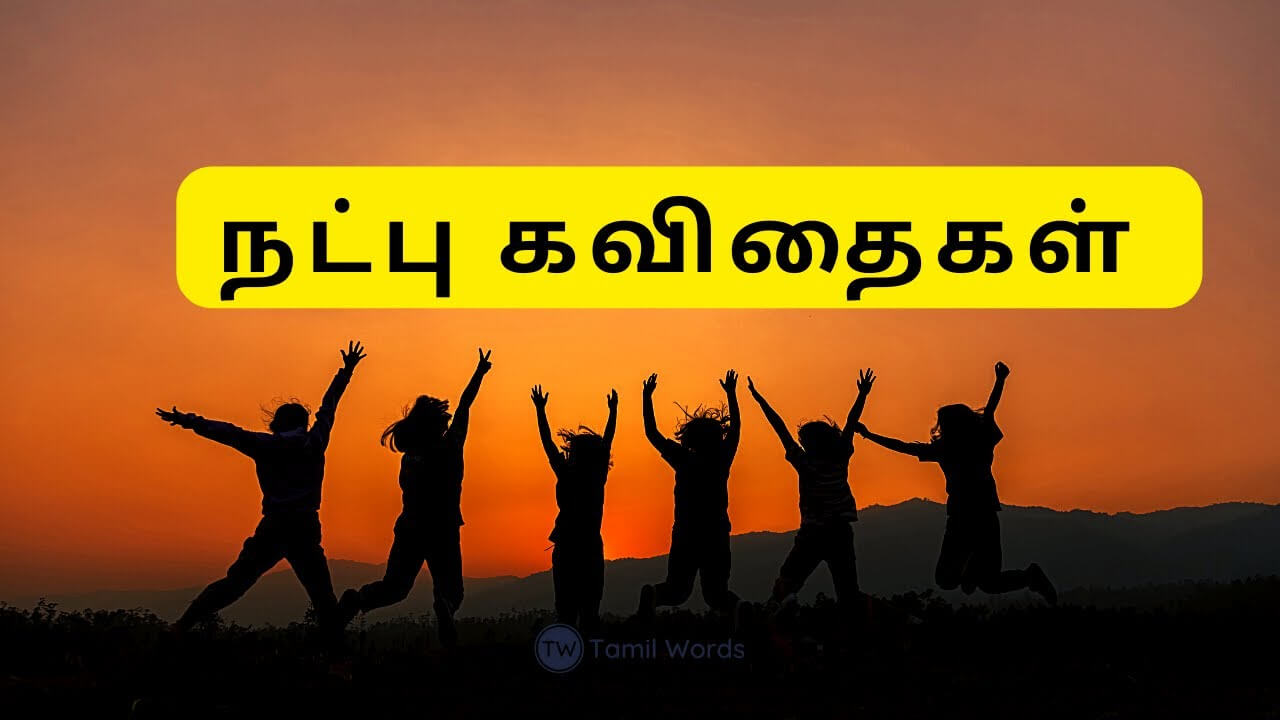50 நட்பு கவிதைகள் | Friendship Quotes in Tamil