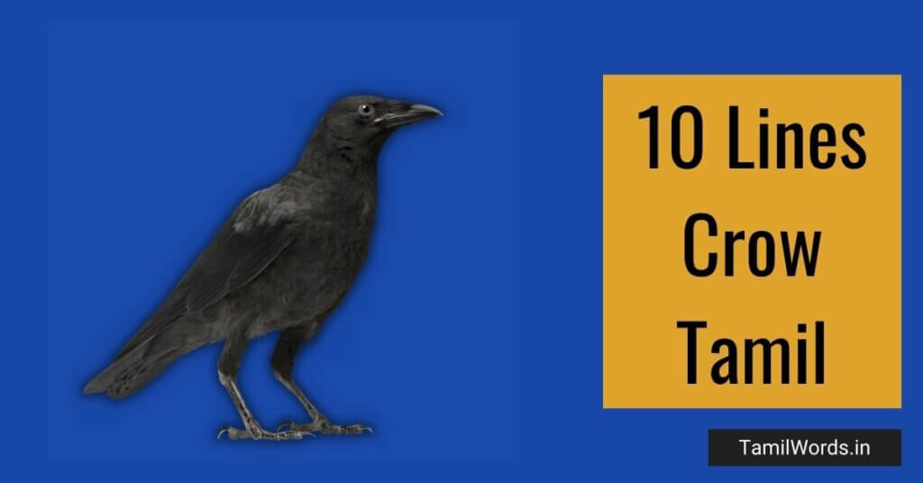 10 Lines about Crow in Tamil