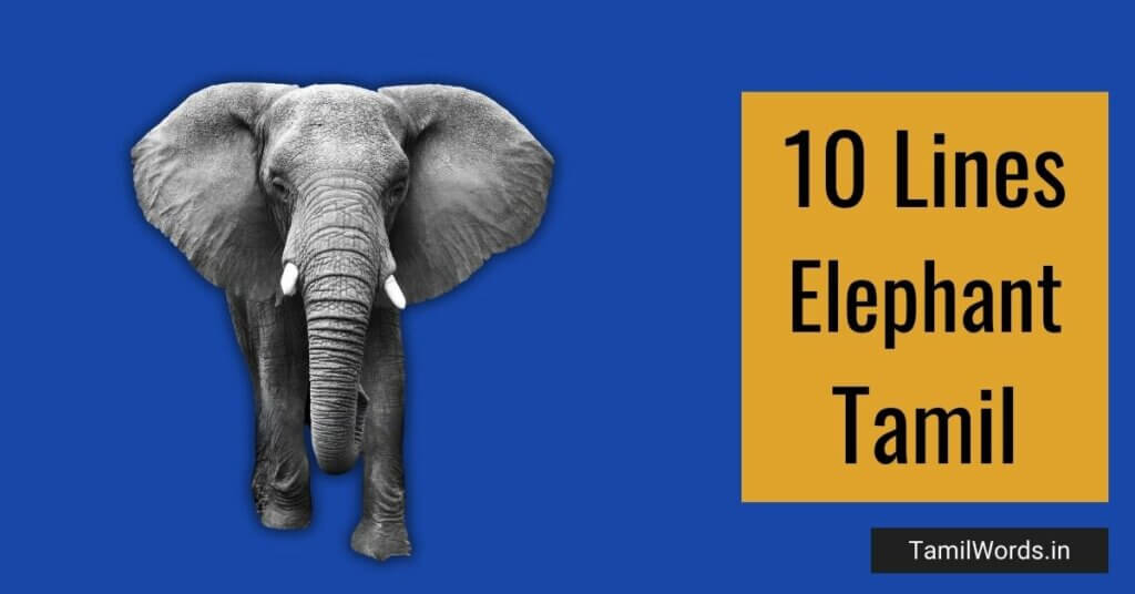10 Lines about Elephant in Tamil